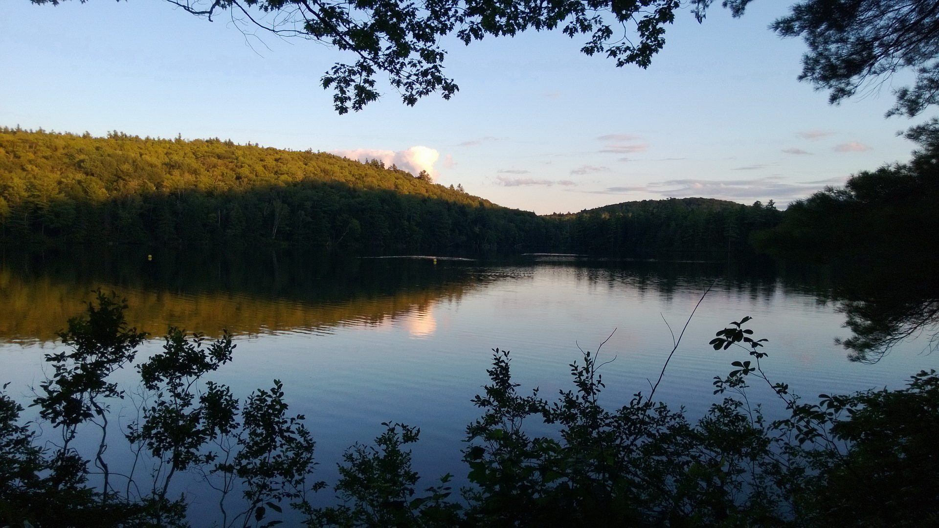The lake at dusk